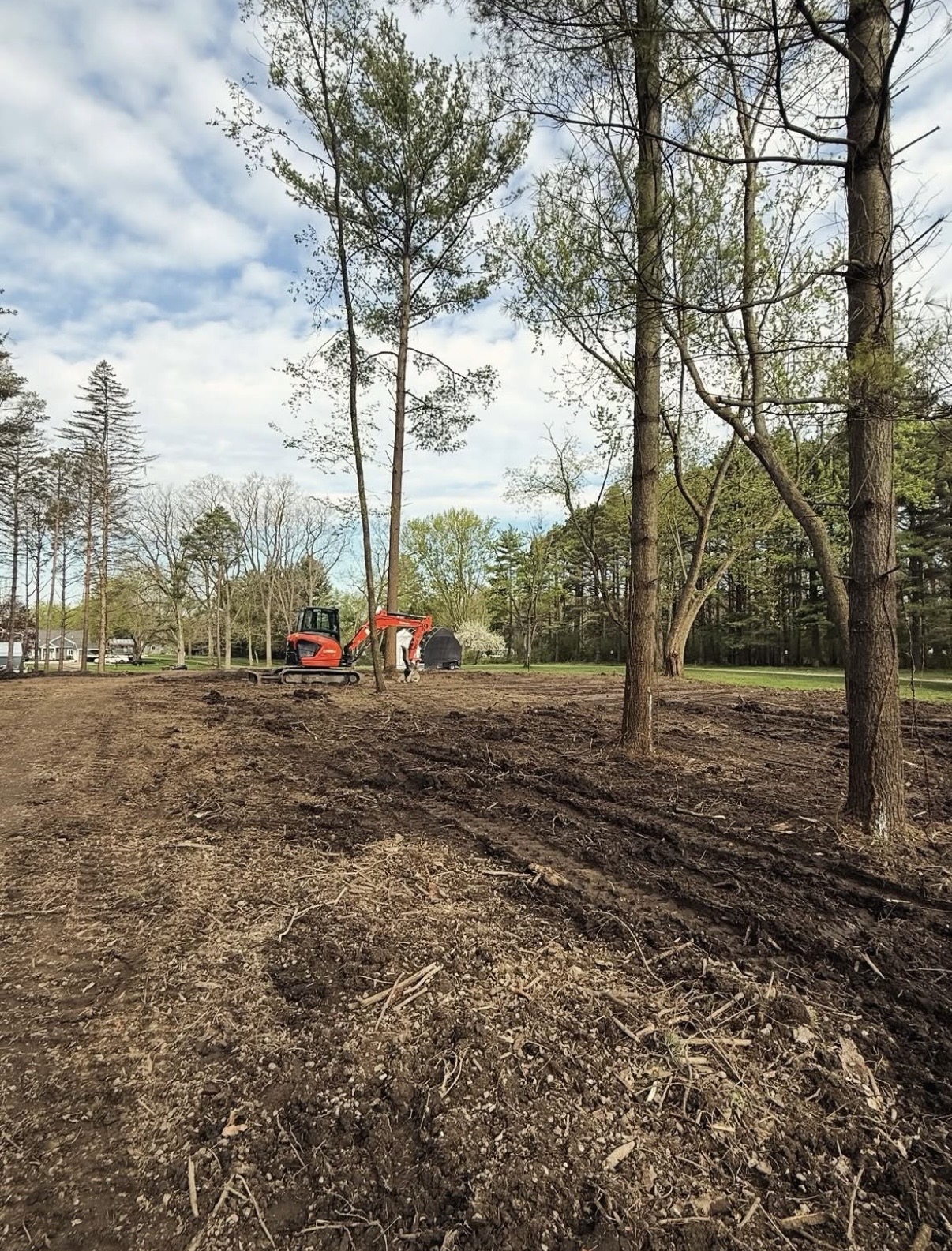 Excavator clearing trees and brush on a wooded lot